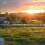 sortie prévue Heartland